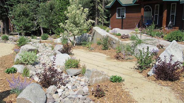Tips for a Tahoe Friendly Garden Design